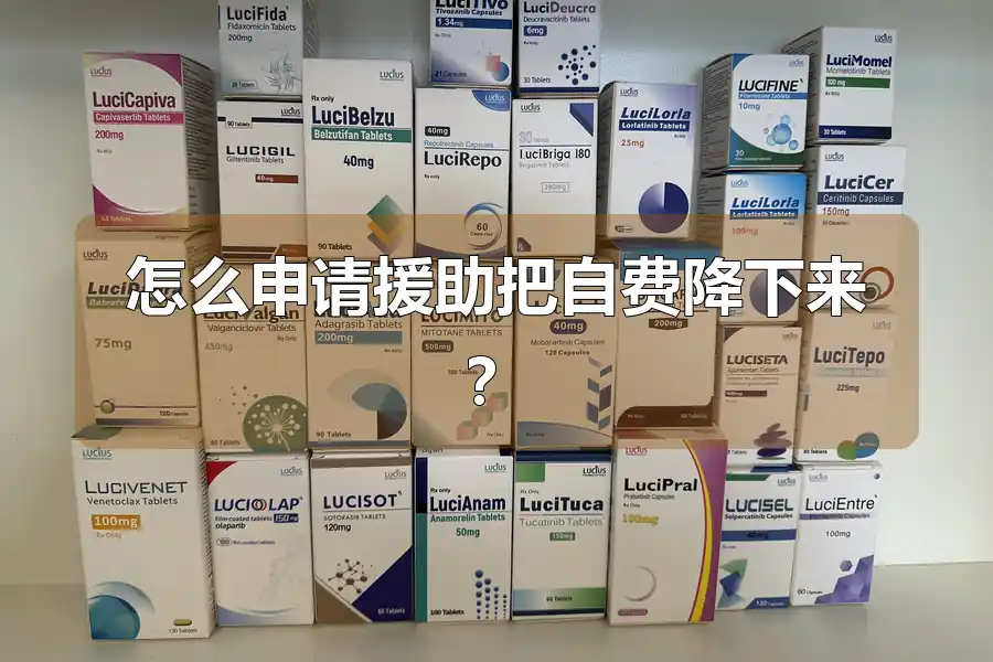 怎么申请援助把自费降下来?